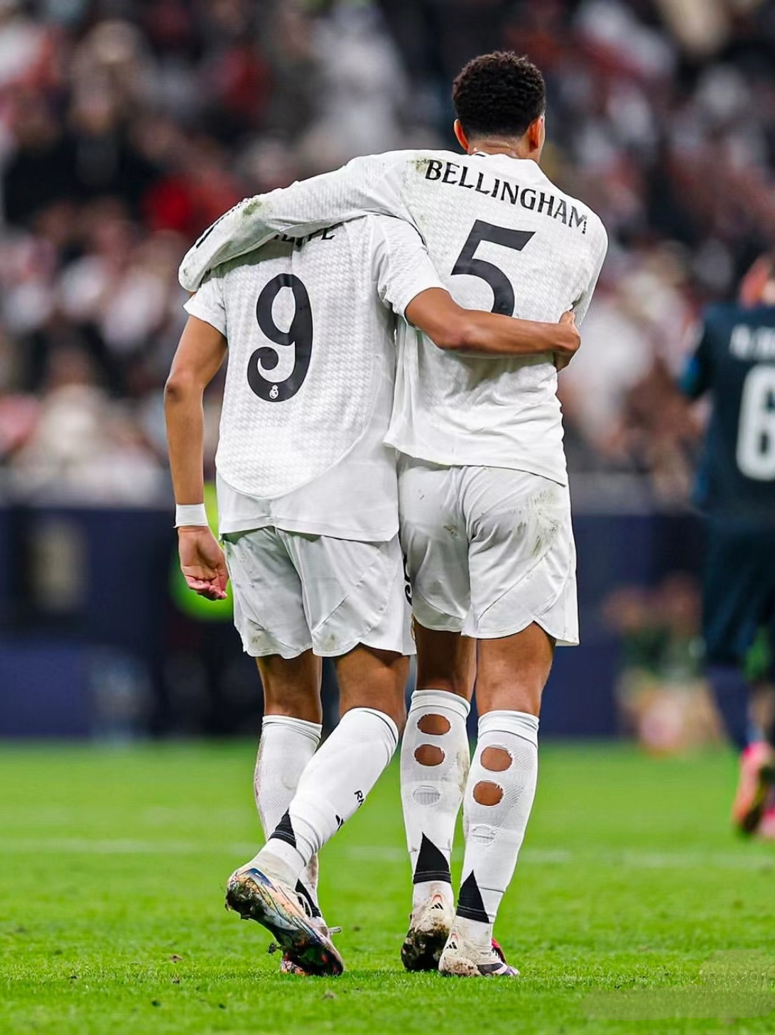 年轻小将潘 年轻小将潘