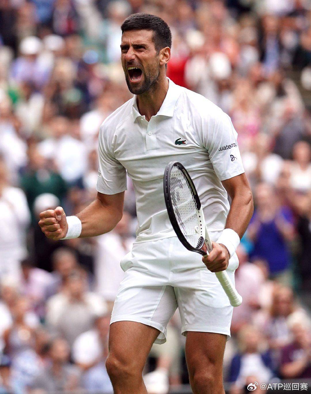 大收获是信 大收获是信