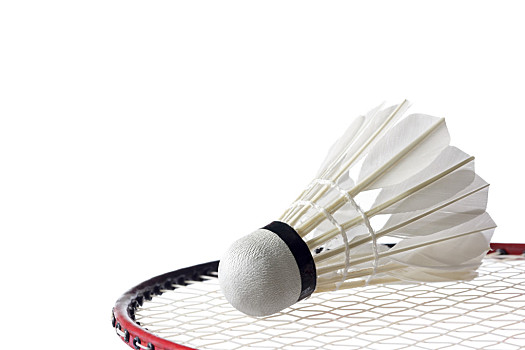 优化标题 优化标题